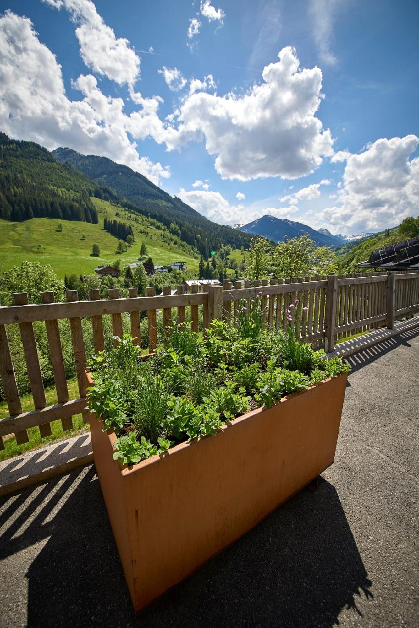 Drei Hittn Saalbach Apartamento Exterior foto